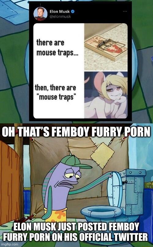 there are mouse traps then there are mouse traps Elllll MUSK JUSTPO POSTEI FEMBIY FIIIIIW PORNONHIS OFFICIAL TWITTER