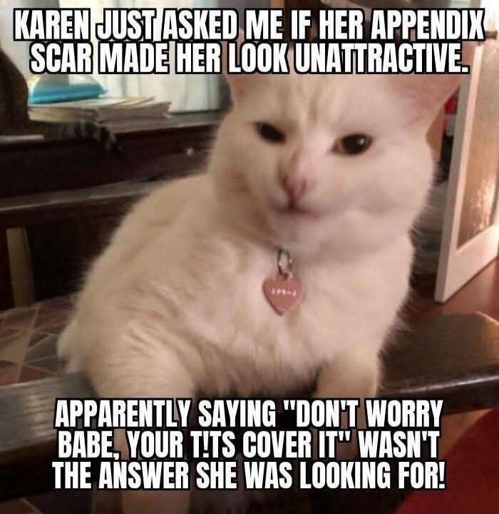 KAREN JUST ASKED ME IF HER APPENDIX SCAR MADE HER LOOK UNATTRACTIVE. APPARENTLY SAYING 