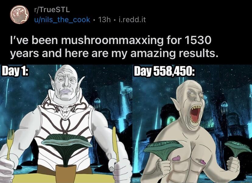TruesTL 13h Lreddit Ive been mushroommaxxing for 1530 years and here are my amazing results