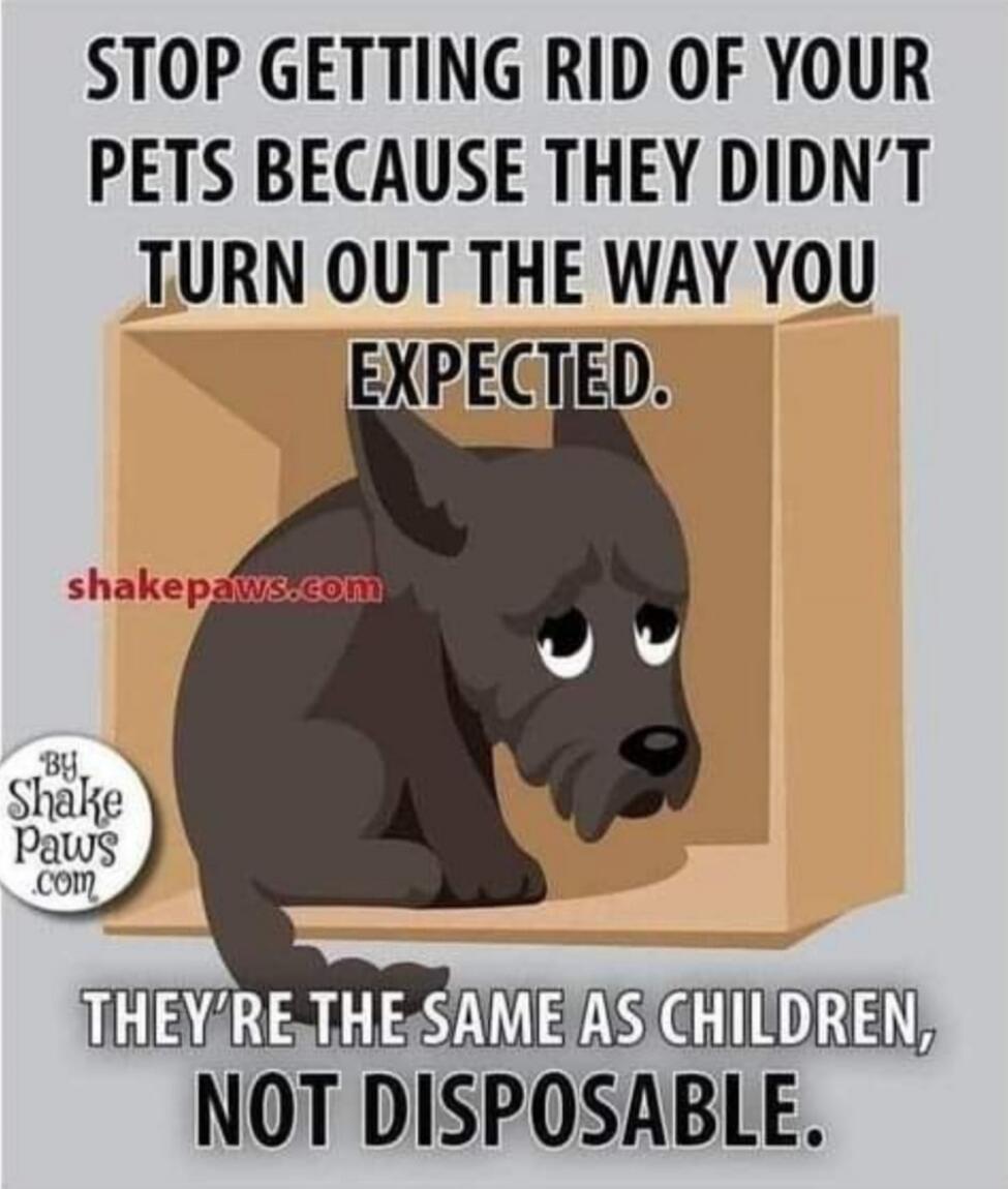 STOP GETTING RID OF YOUR PETS BECAUSE THEY DIDN'T TURN OUT THE WAY YOU EXPECTED. THEY'RE THE SAME AS CHILDREN, NOT DISPOSABLE. shakepaws.com By Shake Paws .com