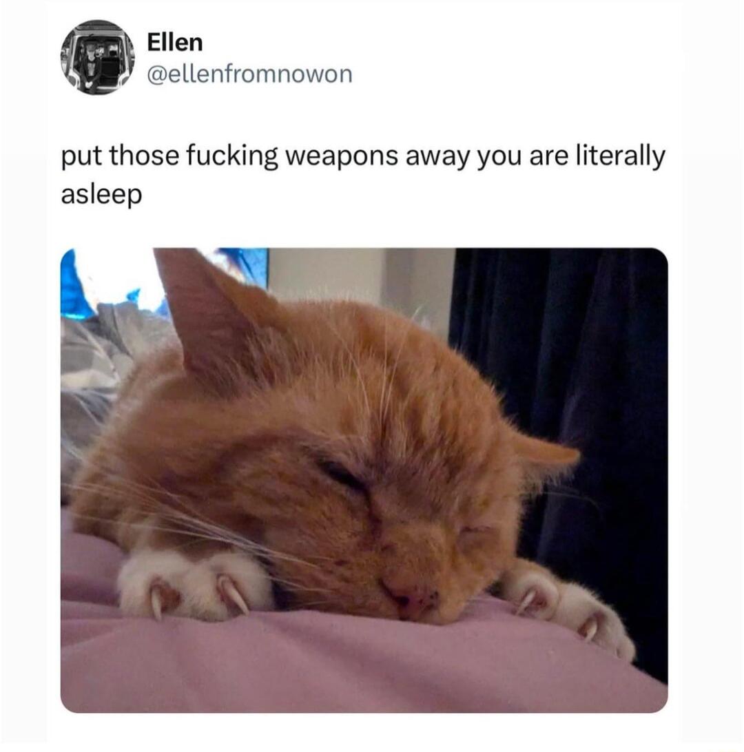 Ellen ellenfromnowon put those fucking weapons away you are literally asleep