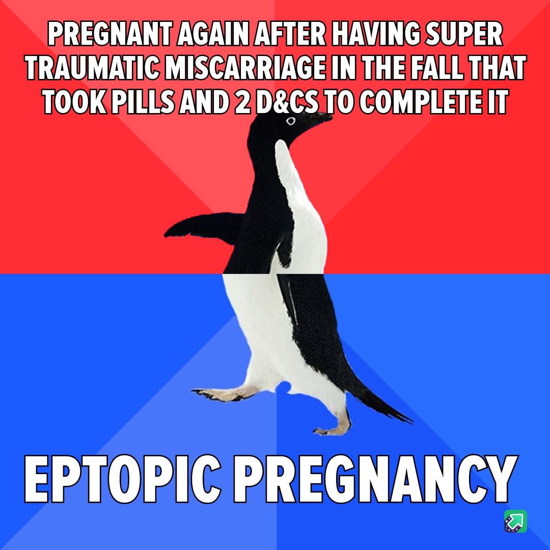 PREGNANTAGAINAFTER HAVING SUPER TRAUMATIC MISCARRIAGEINITHE FALL THAT TOOKPILLSAND2DCS TOCOMPLETE IT EPTOPIC PRENANCY