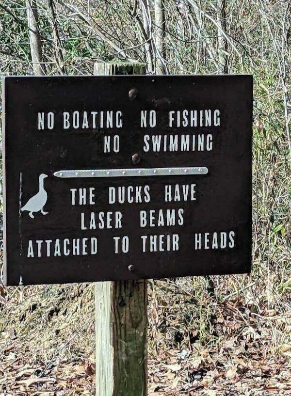 N0 BOATING KD FISHING N0 SWIMMING TS S S EIIIIED THE DUCKS HAVE LASER BEAMS ATTACHED TO THEIR HEADS