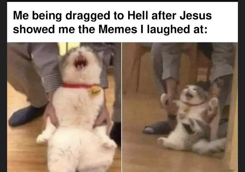 Me being dragged to Hell after Jesus showed me the Memes laughed at