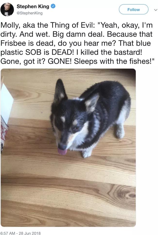 Stephen King P Stephenking Molly aka the Thing of Evil Yeah okay Im dirty And wet Big damn deal Because that Frisbee is dead do you hear me That blue plastic SOB is DEAD killed the bastard Gone got it GONE Sleeps with the fishes