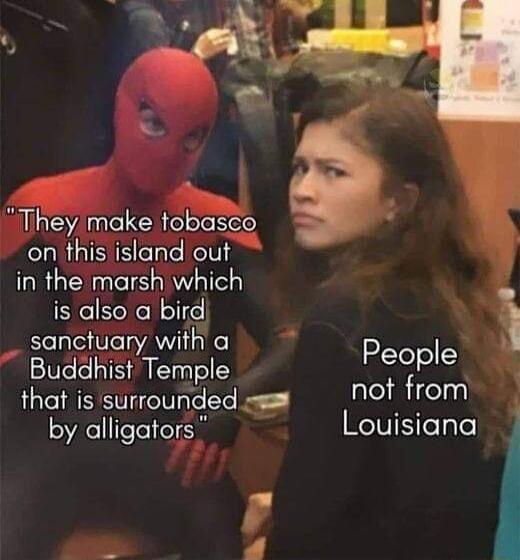 They make tobasco on thisisland out in the marsh which is also a bird sanctuary with a Buddhist Temple Pezple that is surrounded s n1 rom by alligators Louisiana 4