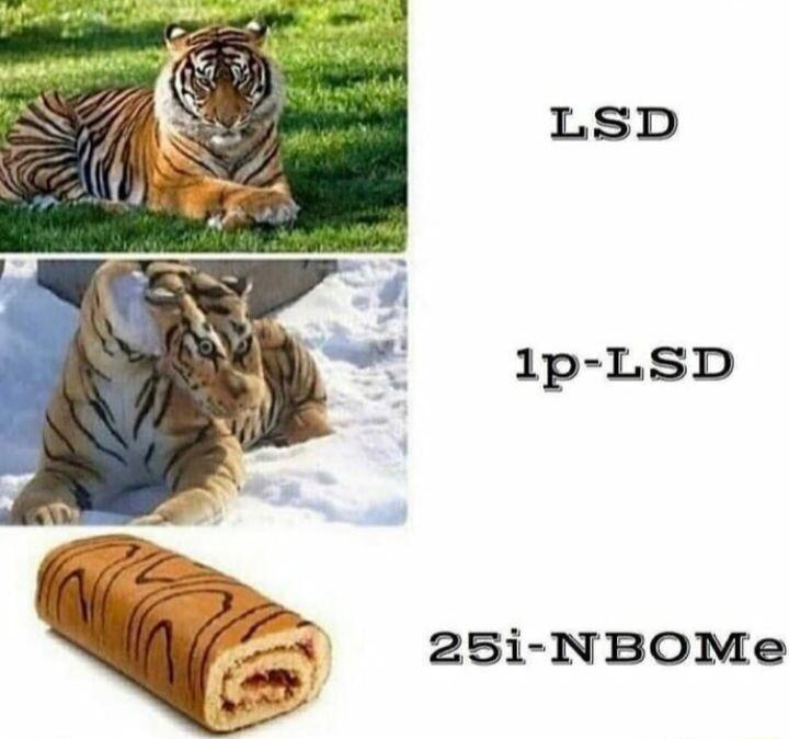 LSD