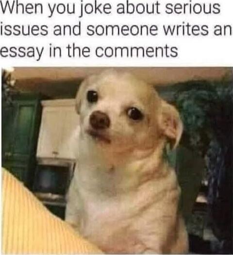 When you joke about serious issues and someone writes an essay in the comments