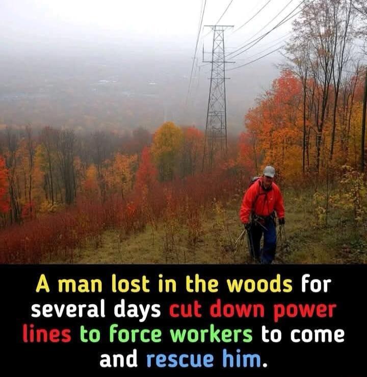 A man lost in the woods for several days to force workers to come and rescue him
