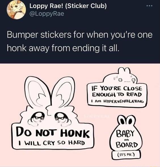 Loppy Rae Sticker Club Bumper stickers for when youre one honk away from ending it all IF YOURE CLOSE ENOUGH TO READ 1 Am HYPERVENTILATING Do NOT HONK 1 WiLL CRY SO HARD