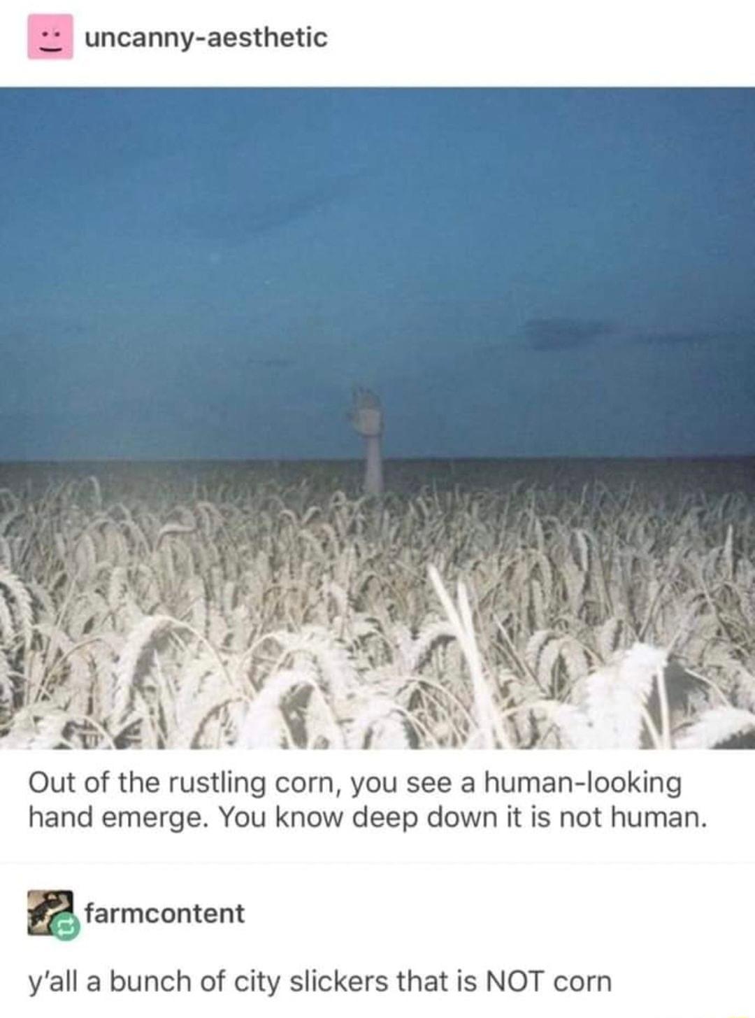 Out of the rustling corn you see a human looking hand emerge You know deep down it is not human Biarmcoment yall a bunch of city slickers that is NOT corn