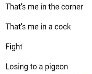 Thats me in the corner Thats me in a cock Fight Losing to a pigeon