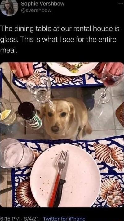Sophie Vershbow The dining table at our rental house is glass This is what see for the entire 1 Twitter for iPhone