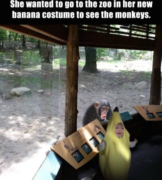 she wanted to go to the zoo in her new banana costume to see the monkeys