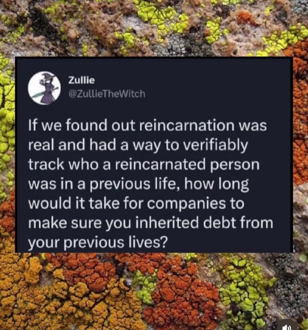 If we found out reincarnation was real and had a way to verifiably track who a reincarnated person was in a previous life, how long would it take for companies to make sure you inherited debt from your previous lives?