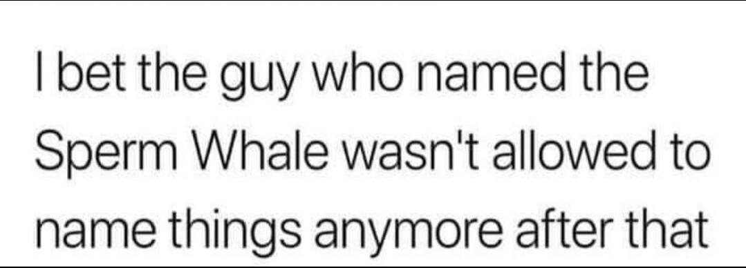I bet the guy who named the Sperm Whale wasn't allowed to name things anymore after that