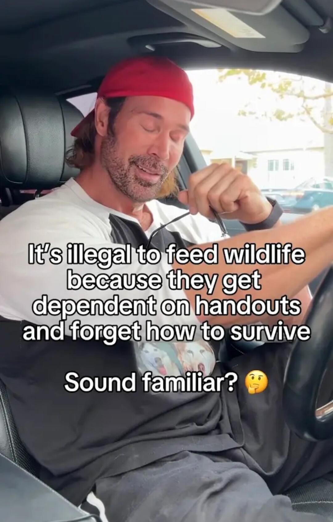 It's illegal to feed wildlife because they get dependent on handouts and forget how to survive. Sound familiar?