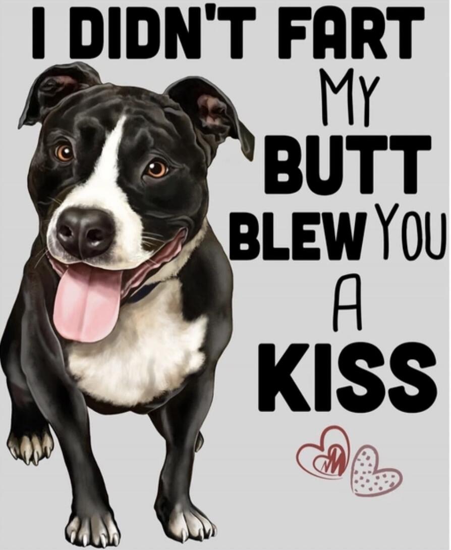 I DIDN'T FART MY BUTT BLEW YOU A KISS