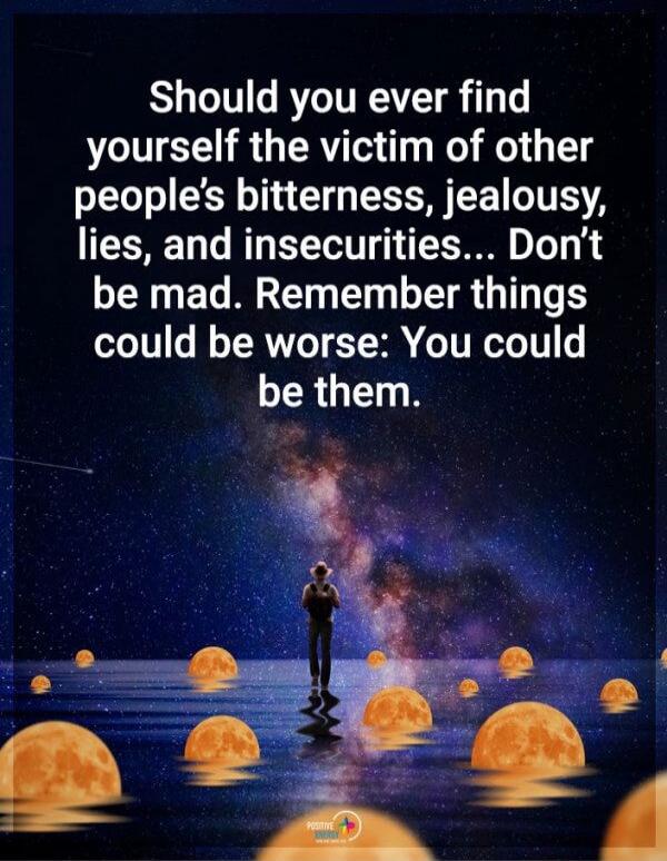 Should you ever find yourself the victim of other people's bitterness, jealousy, lies, and insecurities... Don't be mad. Remember things could be worse: You could be them.