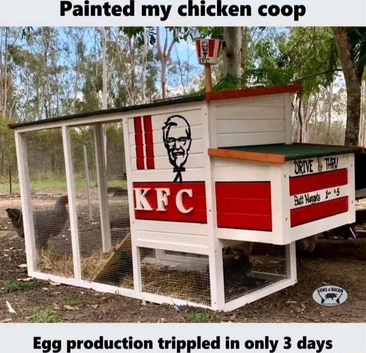 Pamte my crcxen coop Egg production trippled in only 3 days