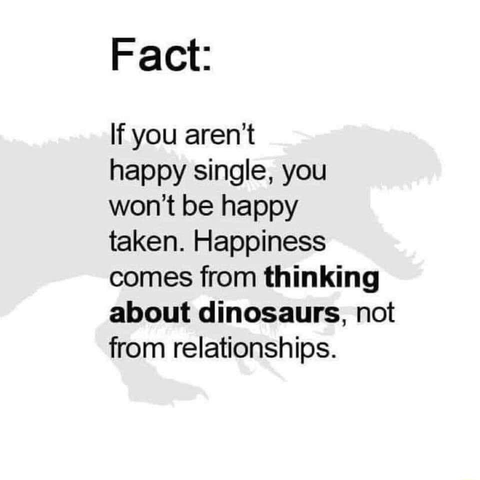 Fact If you arent happy single you wont be happy taken Happiness comes from thinking about dinosaurs not from relationships