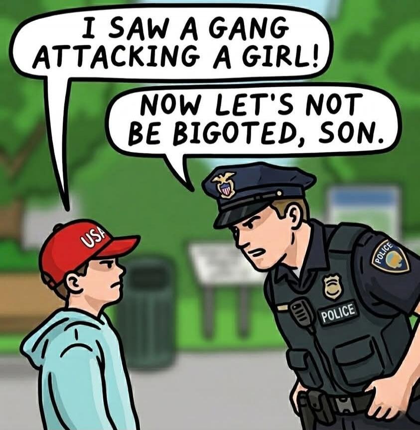 I SAW A GANG ATTACKING A GIRL! NOW LET'S NOT BE BIGOTED, SON.