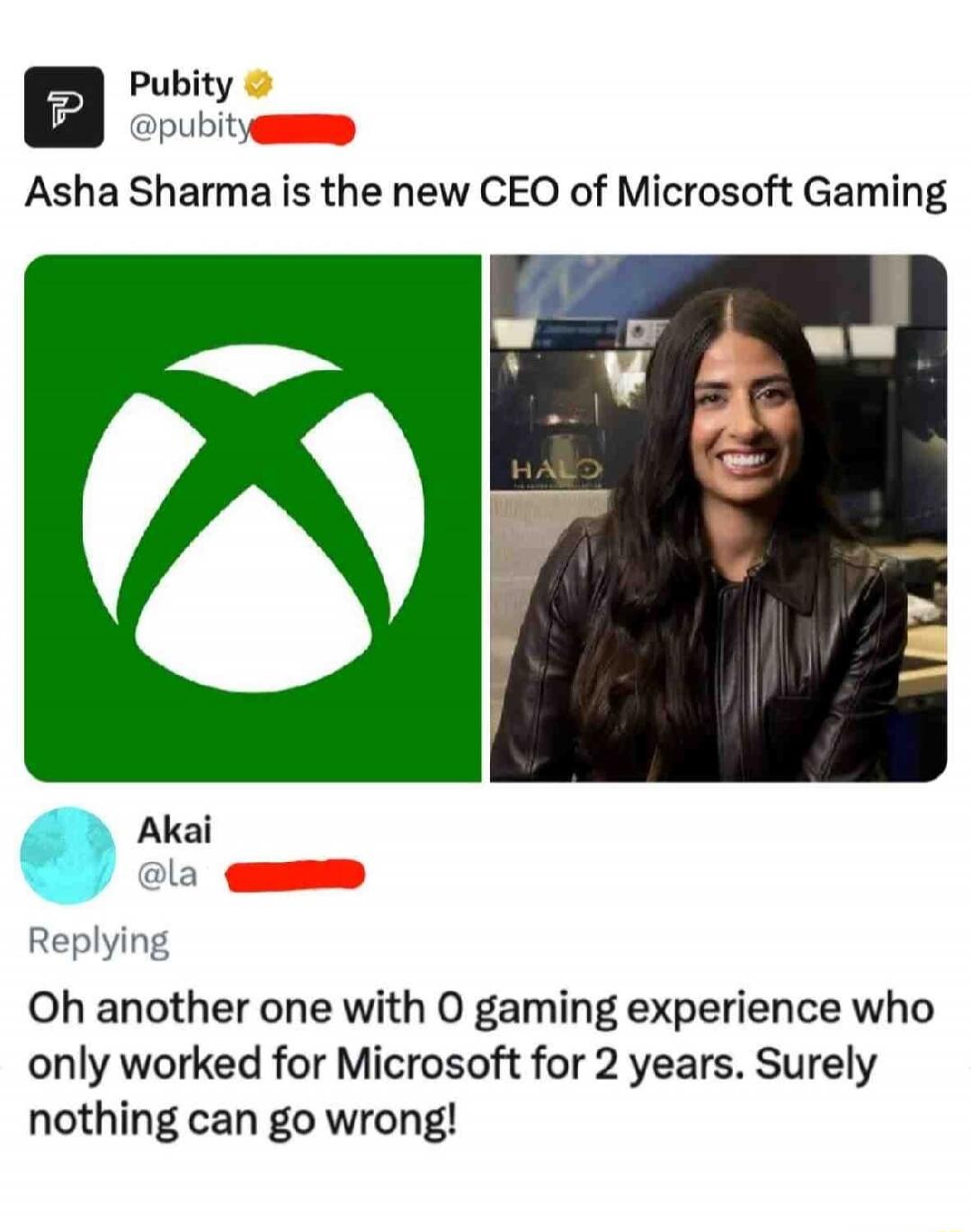 [pubity] @pubity: [redacted] is the new CEO of Microsoft Gaming
[AkaI] @la: Oh another one with 0 gaming experience who only worked for Microsoft for 2 years. Surely nothing can go wrong!