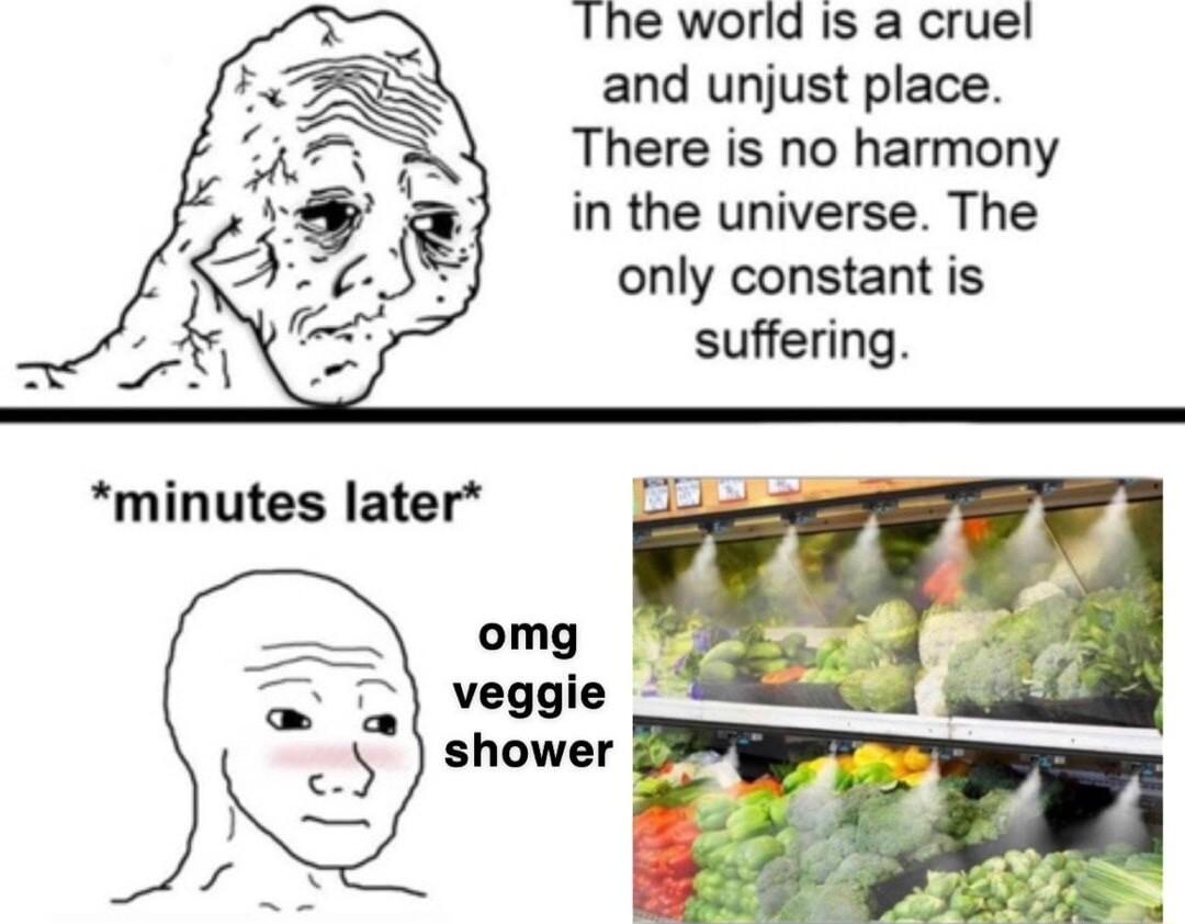 Ihe world is a cruel and unjust place There is no harmony in the universe The only constant is suffering