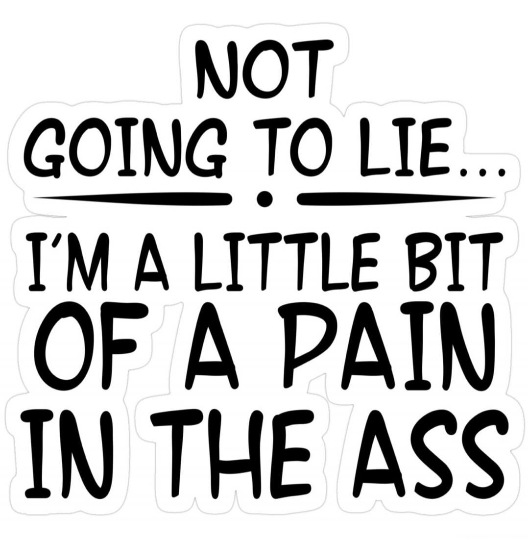 NOT GOING TO LIE... I'M A LITTLE BIT OF A PAIN IN THE ASS