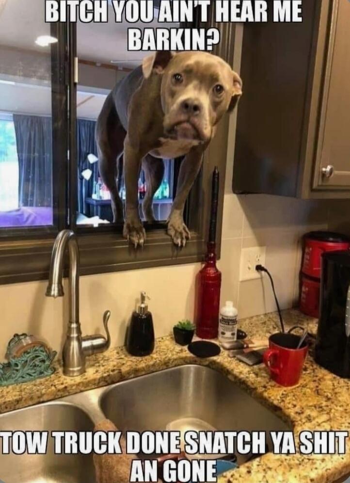 BITCH YOU AIN'T HEAR ME BARKIN?
TOW TRUCK DONE SNATCH YA SHIT YA GONE