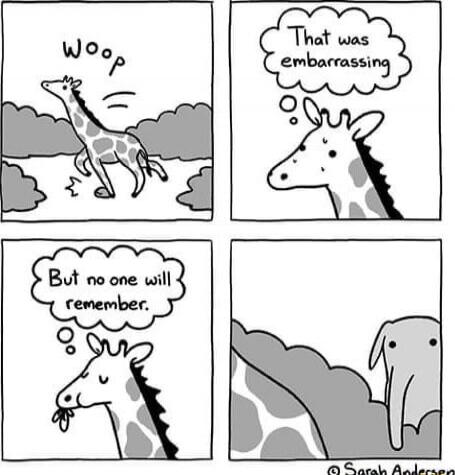 Woop. That was embarrassing. But no one will remember.