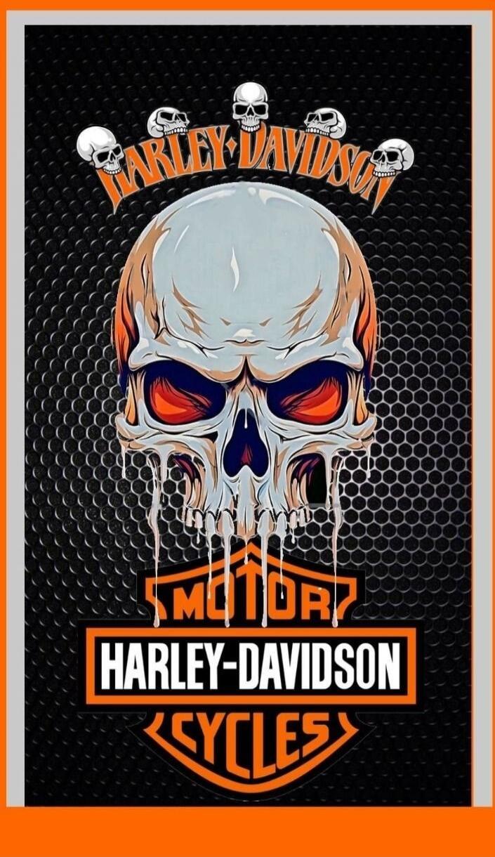 HARLEY-DAVIDSON MOTOR HARLEY-DAVIDSON CYCLES