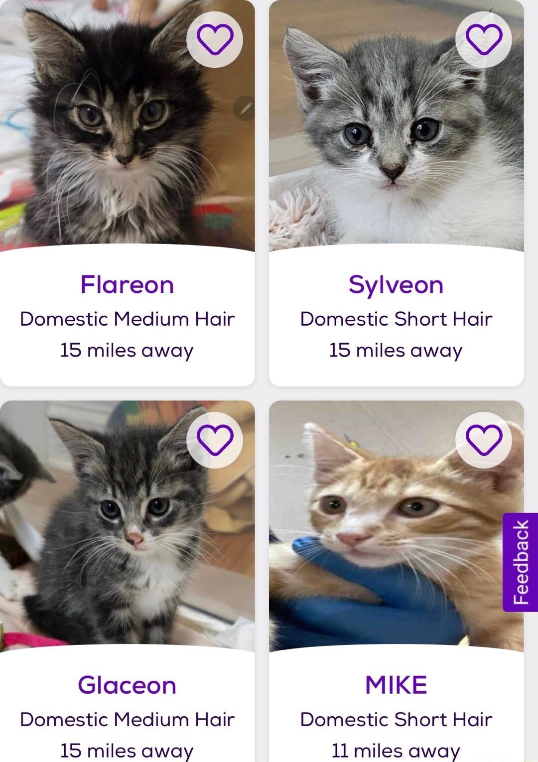 Flareon Sylveon Domestic Medium Hair Domestic Short Hair 15 miles away 15 miles away x S a8 l 3 Glaceon MIKE Domestic Medium Hair Domestic Short Hair 15 miles away 11 miles away