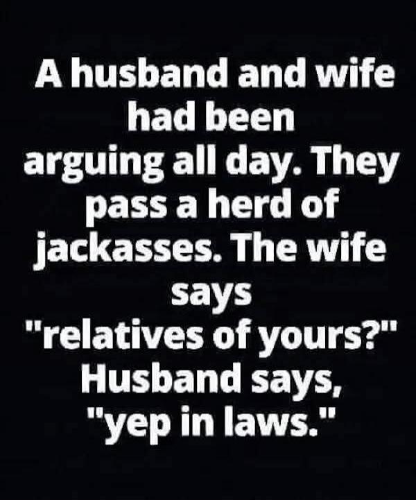 A husband and wife had been arguing all day. They pass a herd of jackasses. The wife says 