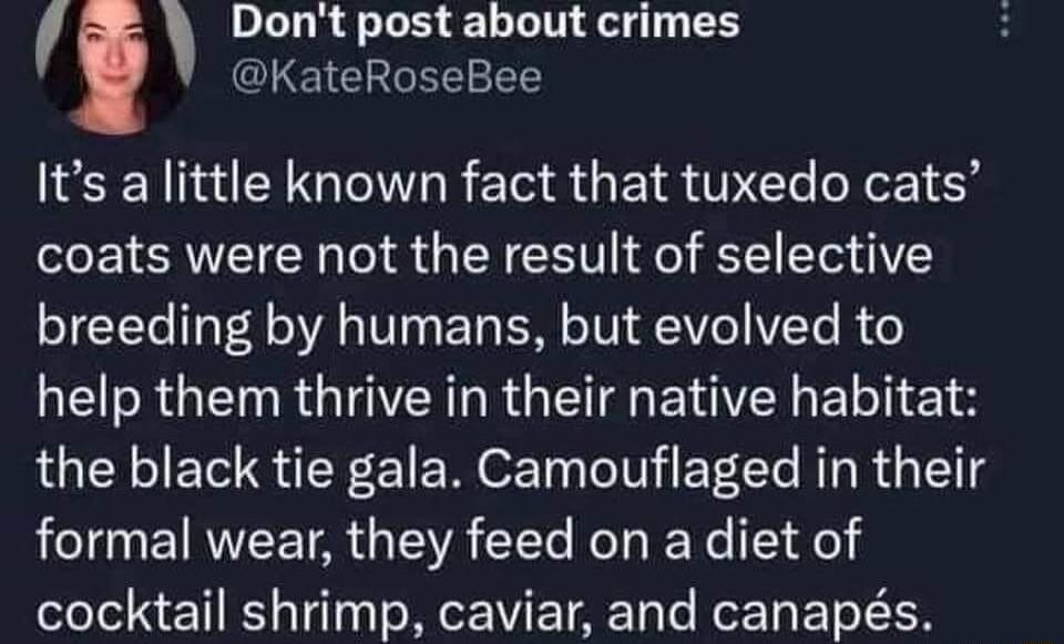 Dont post about crimes KateRoseBee N TGN R T R G EI R T e N 4 coats were not the result of selective breeding by humans but evolved to R R G RG T BTG BT the black tie gala Camouflaged in their formal wear they feed on a diet of cocktail shrimp caviar and canaps