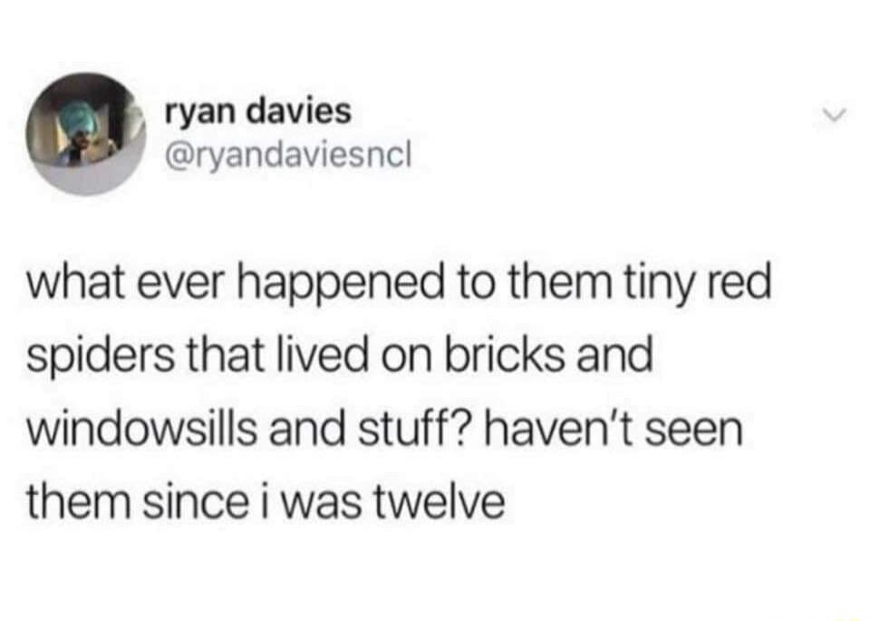 ryan davies B ryandaviesncl what ever happened to them tiny red spiders that lived on bricks and windowsills and stuff havent seen them since i was twelve
