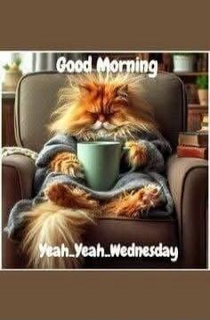 Good Morning
Yeah. Wednesday