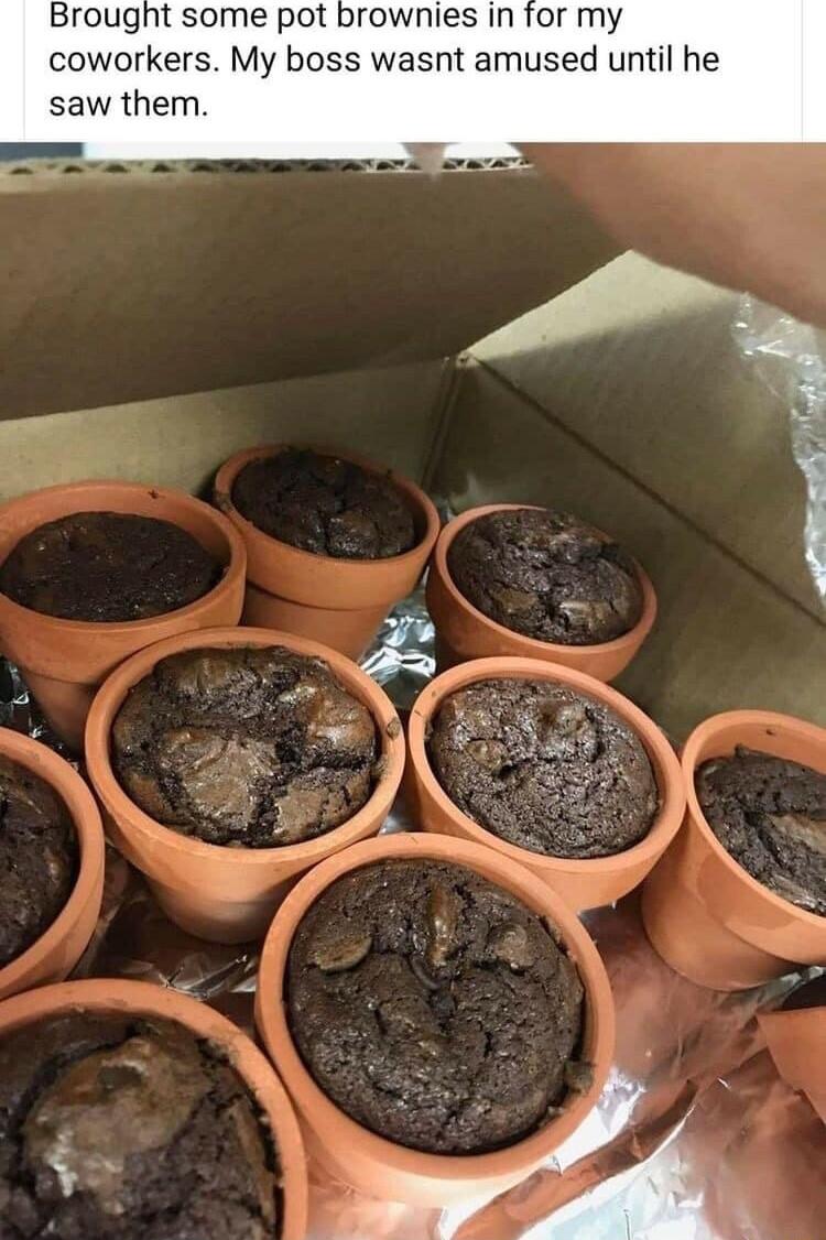 Brought some pot brownies in for my coworkers My boss wasnt amused until he saw them