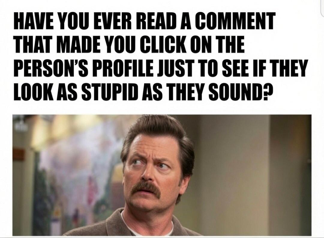HAVE YOU EVER READ A COMMENT THAT MADE YOU CLICK ON THE PERSON'S PROFILE JUST TO SEE IF THEY LOOK AS STUPID AS THEY SOUND?