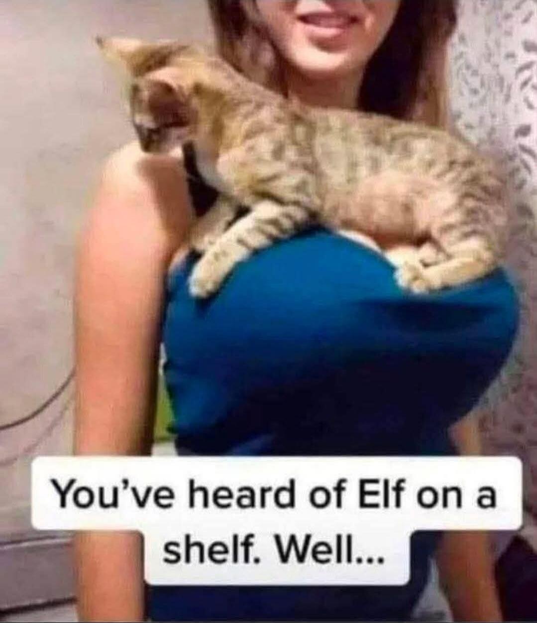 You've heard of Elf on a shelf. Well...