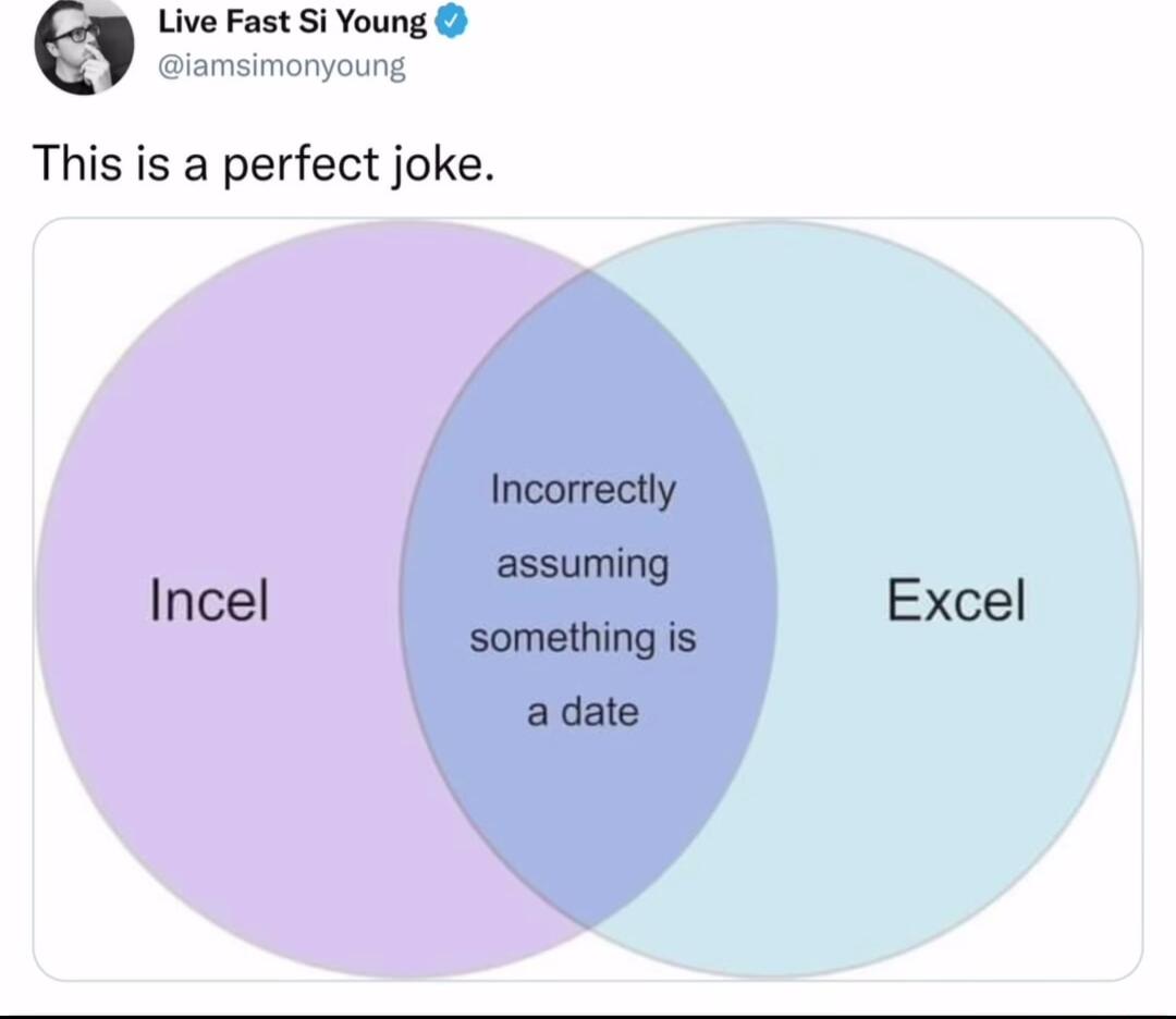Live Fast Si Young iamsimonyoung This is a perfect joke Incel Excel