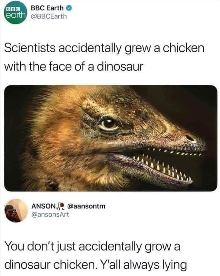 BBC Earth 2elllg BBCEarth Scientists accidentally grew a chicken with the face of a dinosaur ANSON aansontm ansonsArt You dont just accidentally grow a dinosaur chicken Yall always lying