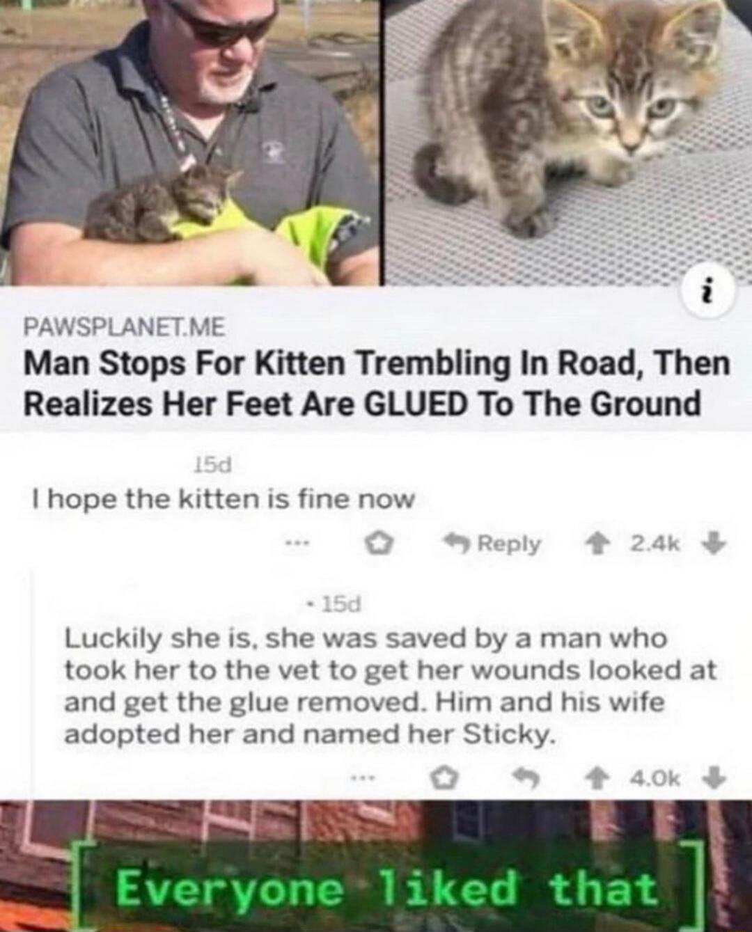 PAWSPLANET.ME Man Stops For Kitten Trembling In Road, Then Realizes Her Feet Are GLUED To The Ground. I hope the kitten is fine now. Luckily she is, she was saved by a man who took her to the vet to get her wounds looked at and get the glue removed. Him and his wife adopted her and named her Sticky. Everyone liked that.