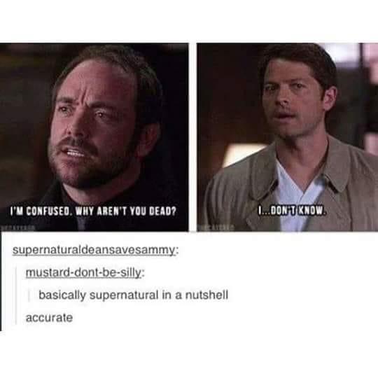 IM CONFUSED WHY ARENT YOU DEAD supernaturaldeansavesammy mustard dont be silly basically superatural in a nutshell accurate