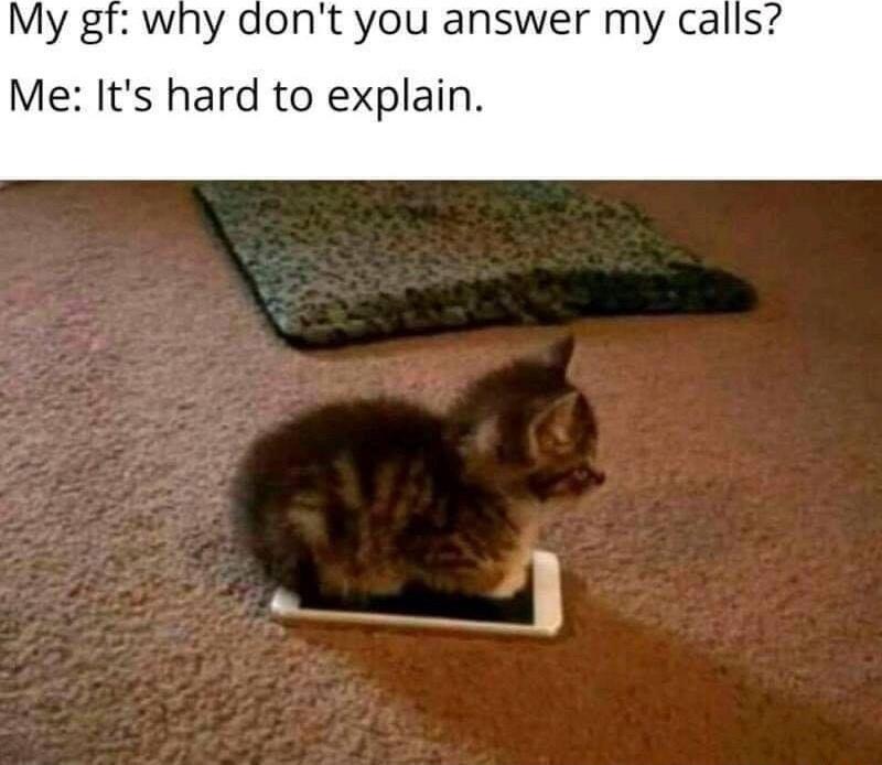 My gf why dont you answer my calls Me Its hard to explain