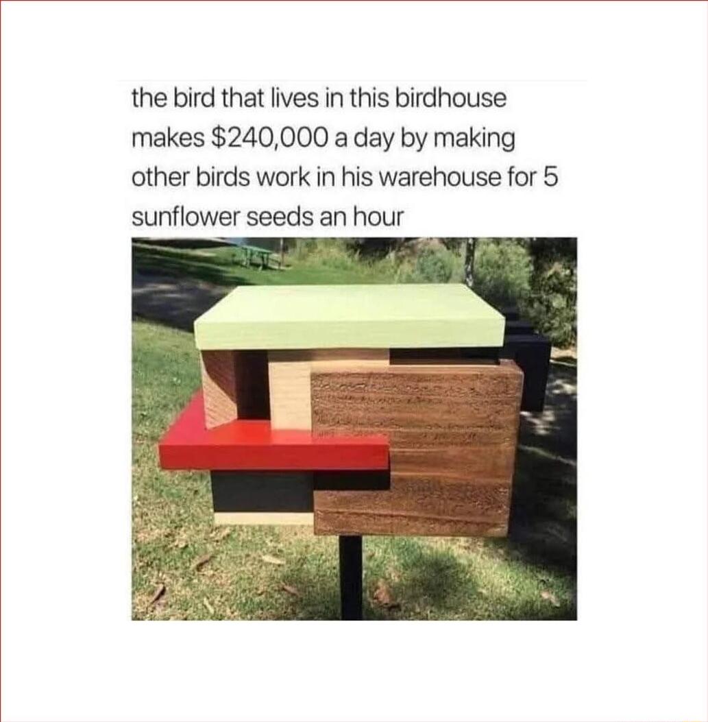 the bird that lives in this birdhouse makes 240000 a day by making other birds work in his warehouse for 5 sunflower seeds an hour