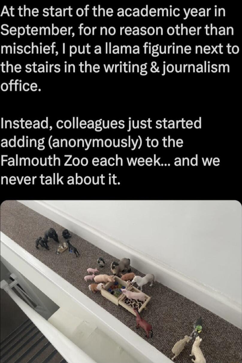 At the start of the academic year in September for no reason other than mischief put a llama figurine next to the stairs in the writing journalism office Instead colleagues just started adding anonymously to the Falmouth Zoo each week and we WEVEIREET LT 41