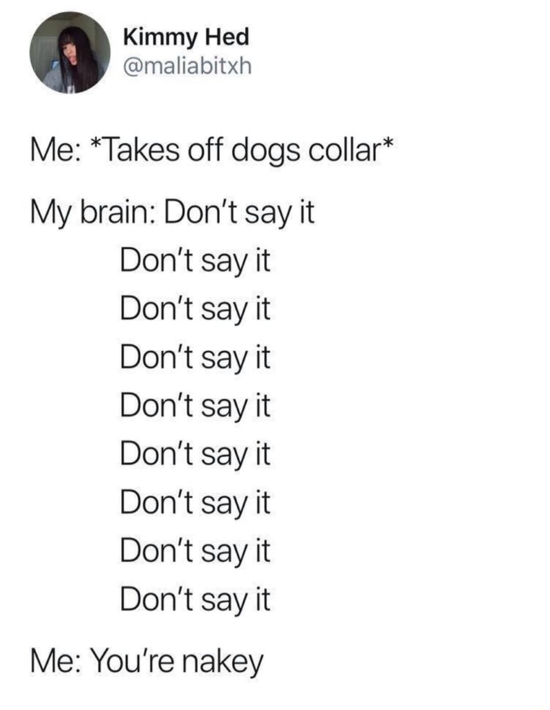 Kimmy Hed maliabitxh Me Takes off dogs collar My brain Dont say it Dont say it Dont say it Dont say it Dont say it Dont say it Dont say it Dont say it Dont say it Me Youre nakey