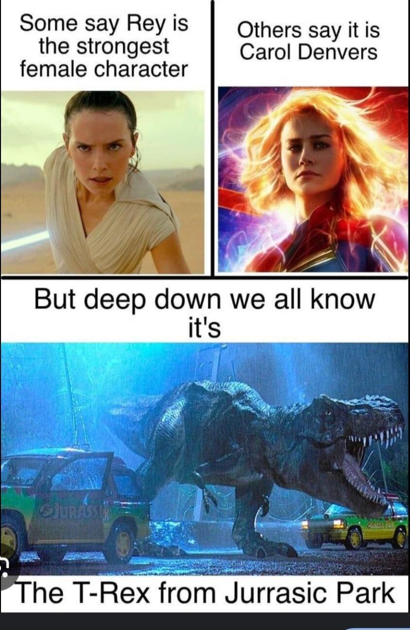 Some say Rey is Others say it is the strongest Carol Denvers female character he T Rex from Jurrasic Park