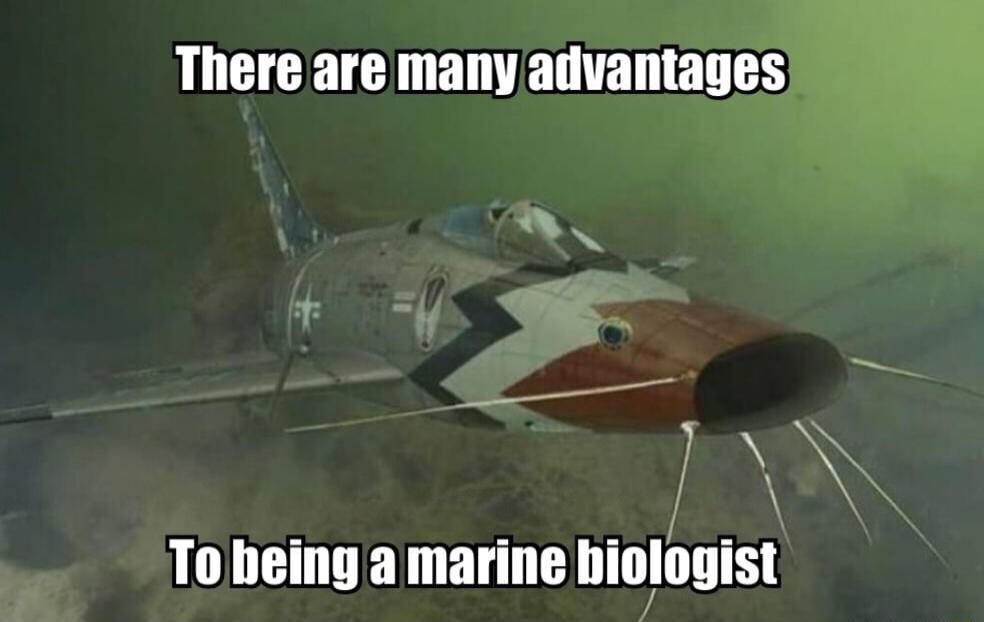s To being a marine hiolnnisl